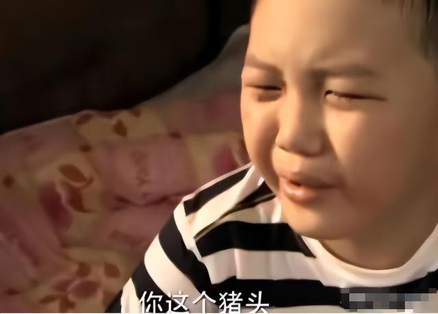打脸充胖子,表面身价上亿,实际负债累累,5位“伪富豪”别装了-第39张图片-九妖电影 打脸充胖子,表面身价上亿,实际负债累累,5位“伪富豪”别装了-第39张图片-九妖电影