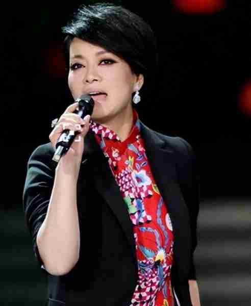 打败韦唯毛阿敏，却被亲弟弟砸成脑震荡，一代歌后沦为保姆谋生-第1张图片-九妖电影