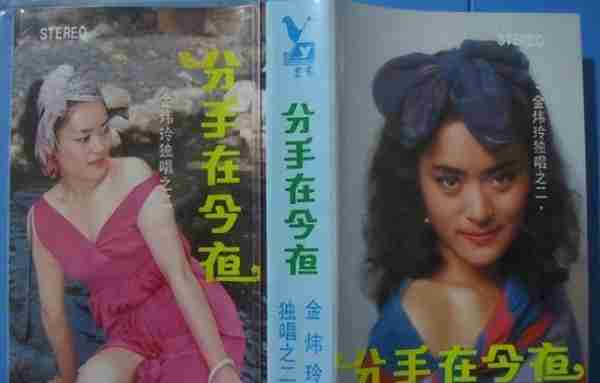 打败韦唯毛阿敏，却被亲弟弟砸成脑震荡，一代歌后沦为保姆谋生-第29张图片-九妖电影