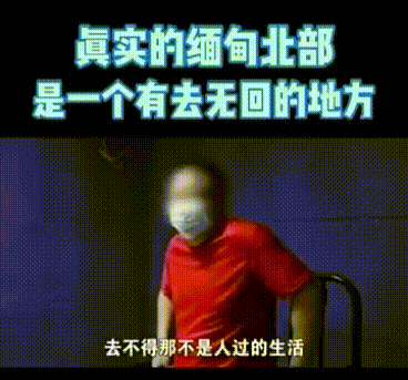明星割韭菜有多疯狂？把88人卖到柬埔寨获1400多万，仅32人还活着-第1张图片-九妖电影
