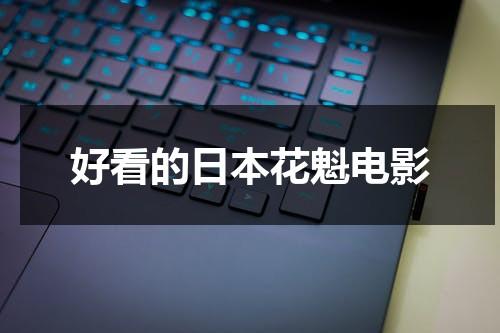 好看的日本花魁电影-第1张图片-九妖电影