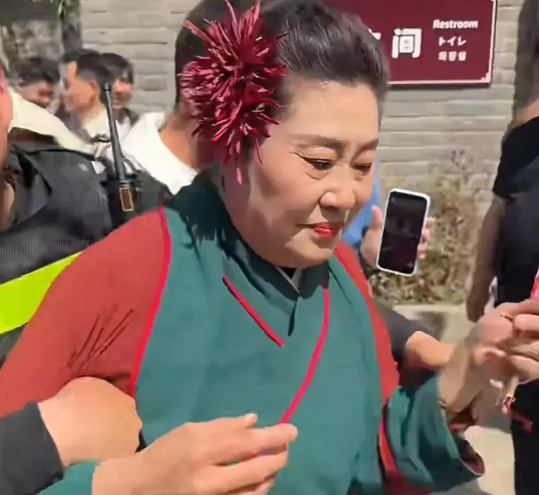 王婆说媒换人了，赵梅因病请假一个月，网友称：有内幕？-第11张图片-九妖电影