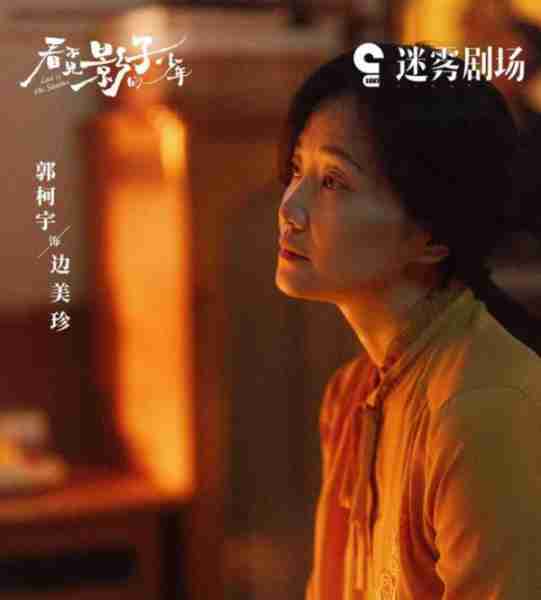 47岁影后打酱油，靠张颂文新剧“疯妈妈”翻红，她不该被埋没-第2张图片-九妖电影