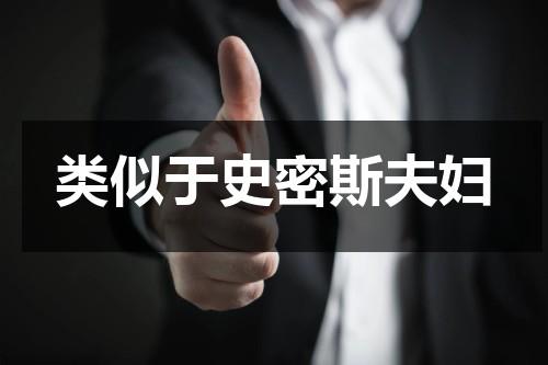 类似于史密斯夫妇-第1张图片-九妖电影