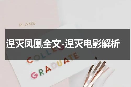 涅灭凤凰全文-涅灭电影解析-第1张图片-九妖电影