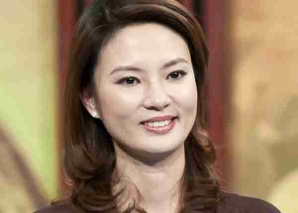 春晚“消失”的10位央视主持人，有人变总裁，有人成了董事长-第9张图片-九妖电影