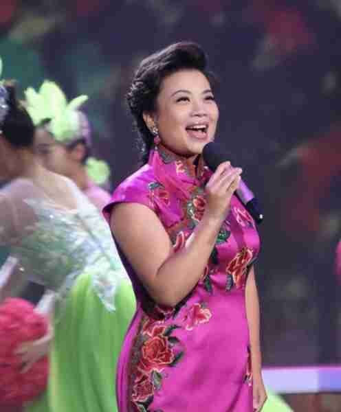 春晚倒计时45天！上春晚次数最多的5位歌手，湘妹子包揽前三名-第1张图片-九妖电影