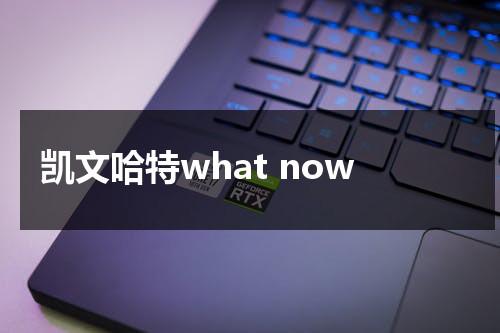 凯文哈特what now-第1张图片-九妖电影
