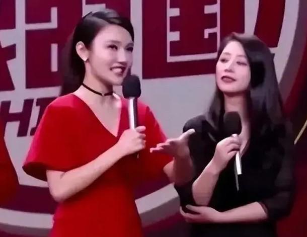 春晚新面孔：挤走董卿，龙洋如何成为央视新一代的代表？-第2张图片-九妖电影