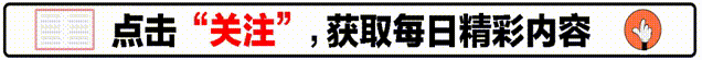 春晚消失的“钉子户”：4位无奈退出，1位离世，2位被“拉黑”-第1张图片-九妖电影