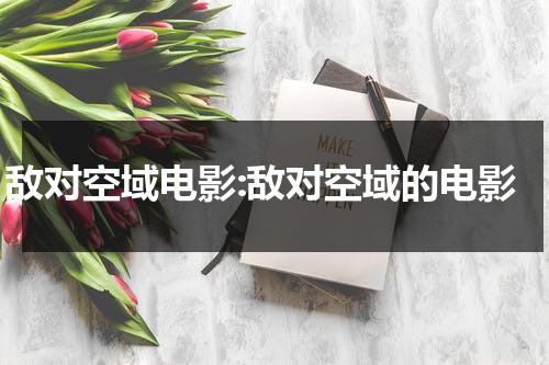敌对空域电影:敌对空域的电影-第1张图片-九妖电影