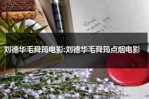 刘德华毛舜筠电影:刘德华毛舜筠点烟电影-第1张图片-九妖电影
