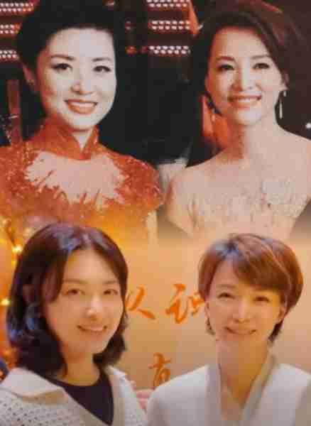 春晚老友记：周涛、董卿、张泽群，一“同框”回到过去！-第4张图片-九妖电影