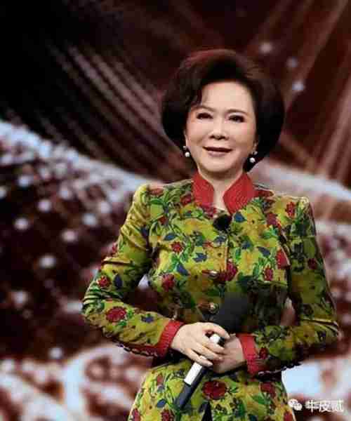 春晚进入倒计时，求这4位春晚混子求收手吧，别再羞辱观众智商了-第15张图片-九妖电影