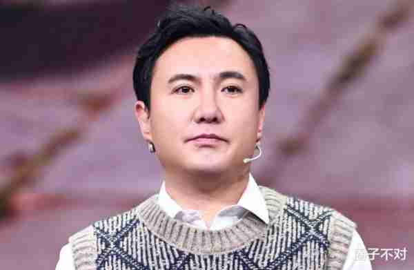 春晚进入倒计时，求这6位春晚混子求收手吧，别再羞辱观众智商了_2-第37张图片-九妖电影