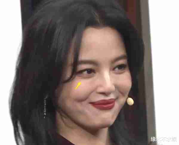 春晚高清镜头如照妖镜！唐嫣皱纹多、胡歌皮肤差、刘诗诗脸型奇怪-第18张图片-九妖电影