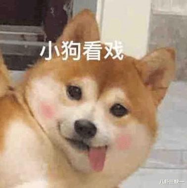 智性综艺爱好者狂喜，这节目人均至少八百个心眼子！-第49张图片-九妖电影