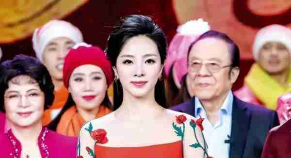 李思思从央视离职，奋斗13载主持春晚9次，离开后也要去带货了？-第3张图片-九妖电影