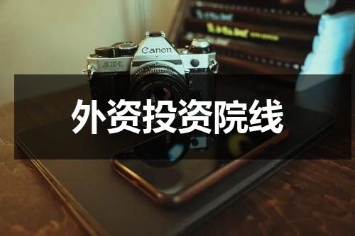 外资投资院线-第1张图片-九妖电影