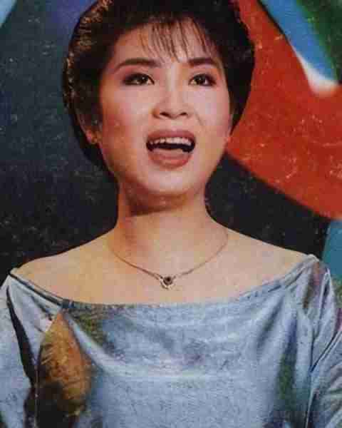 杭天琪：曾9次上春晚，46岁高龄生子，如今婚姻状况如何？-第7张图片-九妖电影