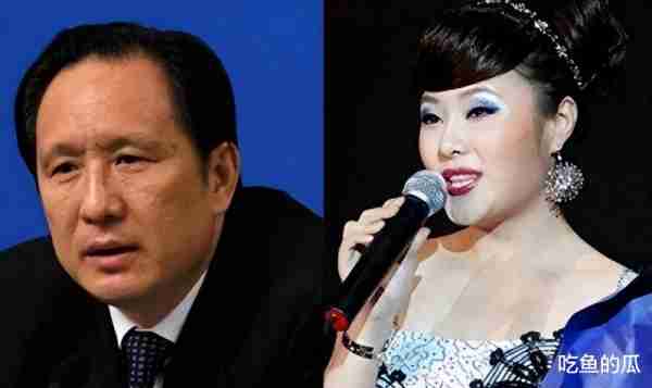 歌手罗菲：多次登上春晚，为了钱成高官情妇，33岁沦为阶下囚-第6张图片-九妖电影