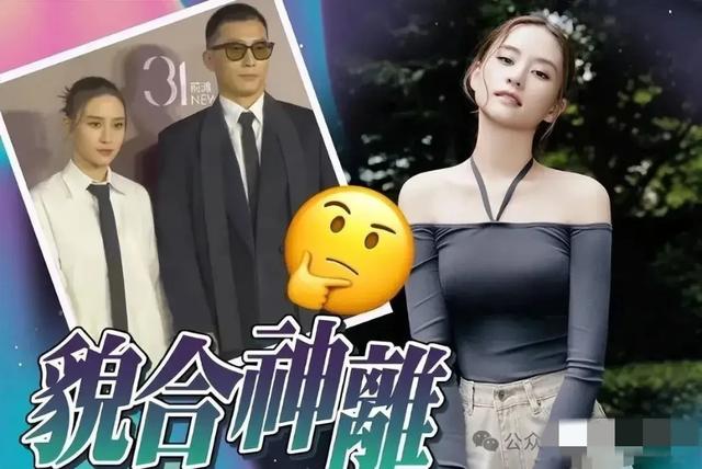 真离了？何超莲嫁窦骁半年被家暴3次，疑似股权分配不均-第2张图片-九妖电影