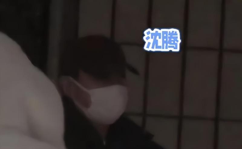 沈腾马丽娱乐圈的江湖地位极高？春晚的救星还是毒药？-第4张图片-九妖电影