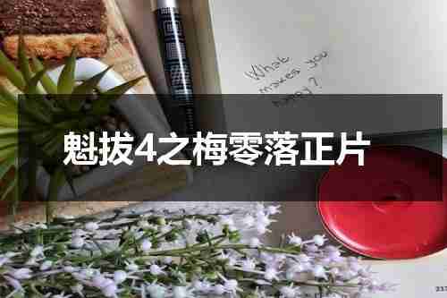 魁拔4之梅零落正片-第1张图片-九妖电影