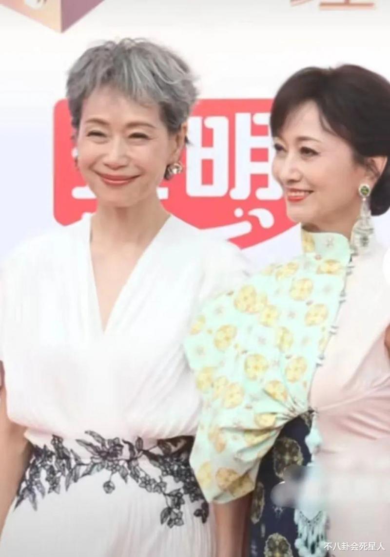 61岁叶童和70岁赵雅芝走红毯，医美脸和自然脸的区别就出来了-第3张图片-九妖电影