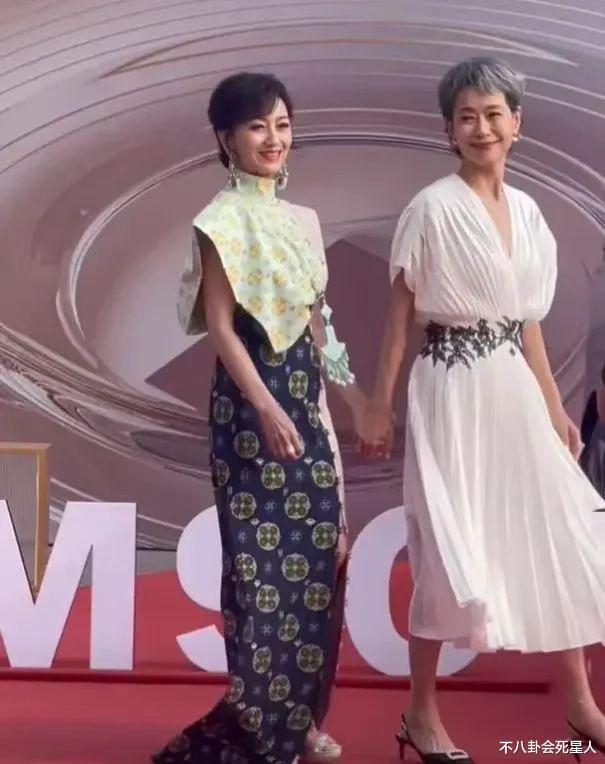 61岁叶童和70岁赵雅芝走红毯，医美脸和自然脸的区别就出来了-第11张图片-九妖电影