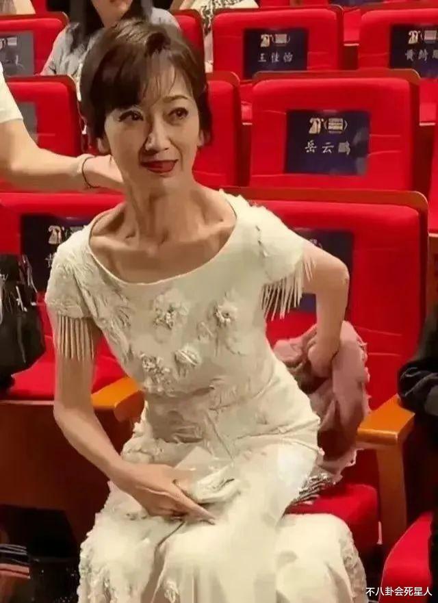 61岁叶童和70岁赵雅芝走红毯，医美脸和自然脸的区别就出来了-第16张图片-九妖电影