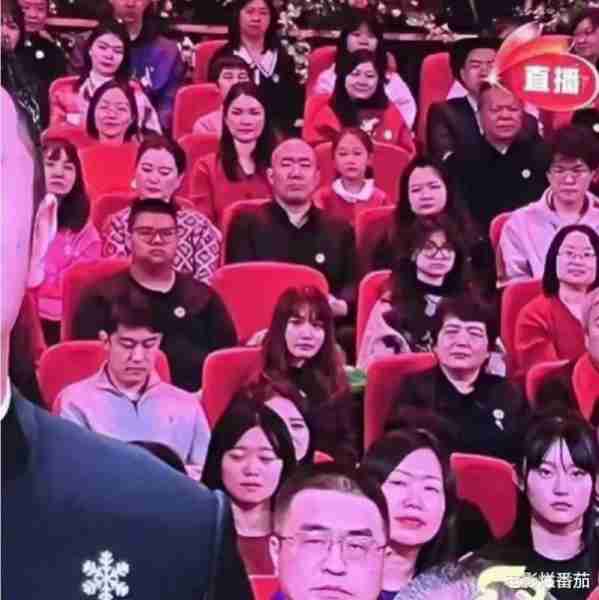 烂梗、强煽情、硬搞笑？2024春晚的节目单，将继续散发“焦虑”-第11张图片-九妖电影