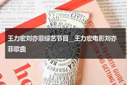 王力宏刘亦菲综艺节目__王力宏电影刘亦菲歌曲-第1张图片-九妖电影