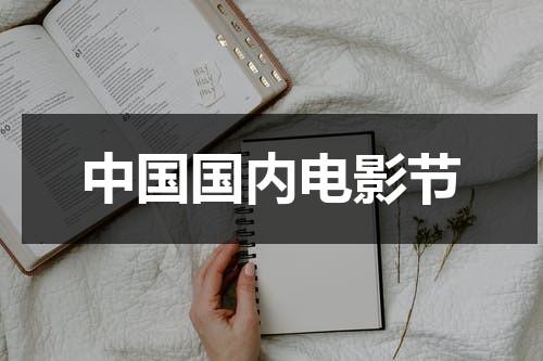 中国国内电影节-第1张图片-九妖电影