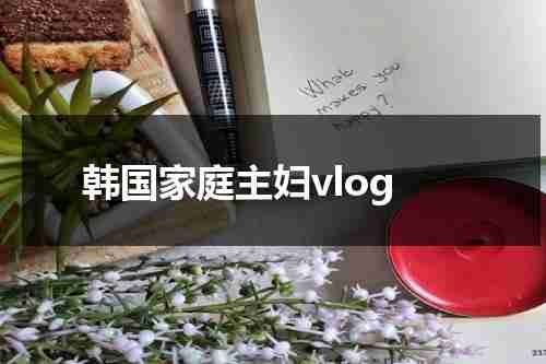 韩国家庭主妇vlog-第1张图片-九妖电影