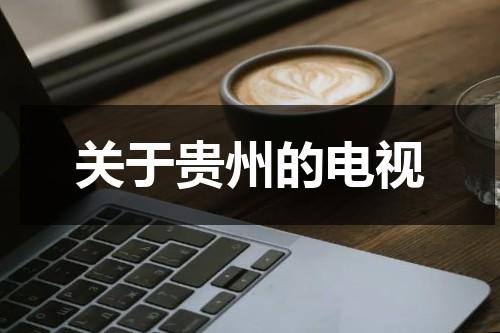 关于贵州的电视-第1张图片-九妖电影