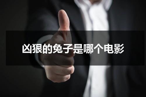 凶狠的兔子是哪个电影-第1张图片-九妖电影