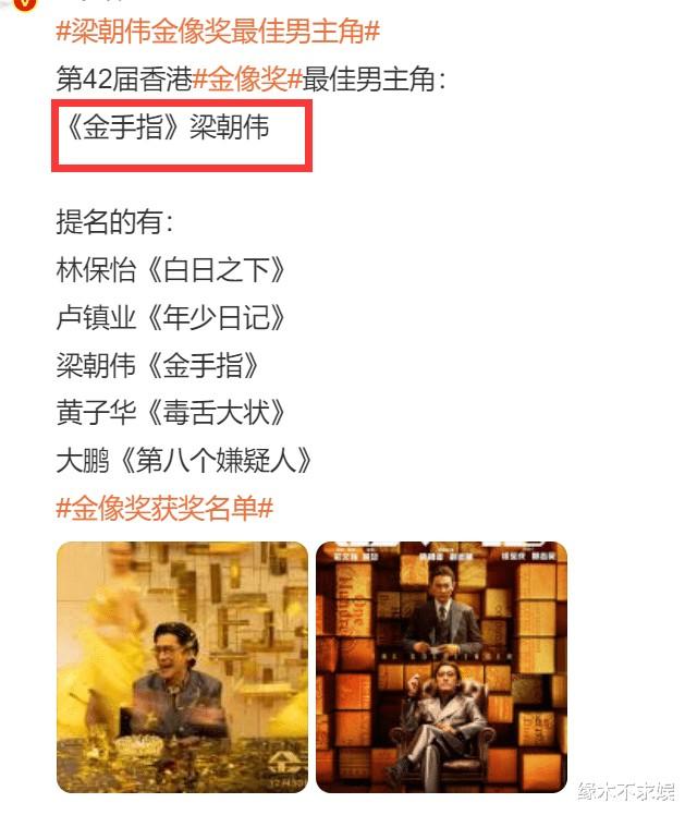 第42届金像奖获奖名单出炉！梁朝伟爆冷夺影帝，被嘲烂片水分大！-第7张图片-九妖电影