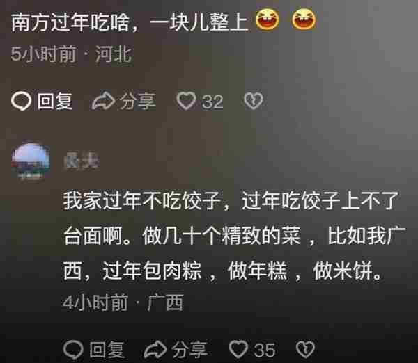 给春晚导演的一点建议：能不能别一直包饺子，南北网友评论区炸锅-第10张图片-九妖电影