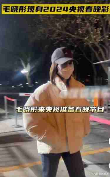 网传龙年春晚名单-邓超李宇春加入，但呼声最高的是他们-第8张图片-九妖电影
