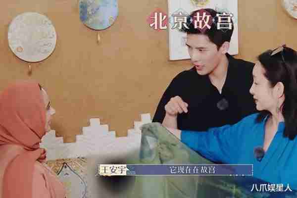 大农化与少年丝路季：王安宇扛住英文压力，迪丽热巴扛住行程压力-第1张图片-九妖电影