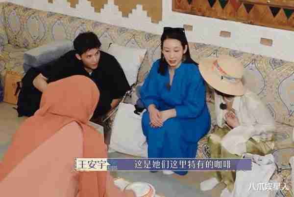 大农化与少年丝路季：王安宇扛住英文压力，迪丽热巴扛住行程压力-第2张图片-九妖电影