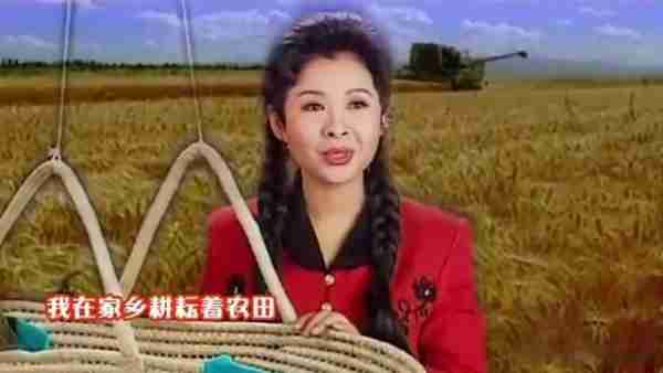 董文华：上春晚14次，因绯闻被资本雪藏，如今逆风翻盘成人生赢家-第11张图片-九妖电影