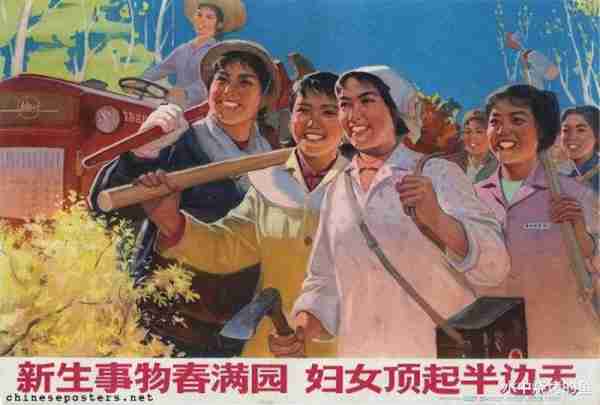 被主流媒体当成女性榜样，登春晚后获《浪姐5》邀约，她成了芒果力捧的一张王牌-第1张图片-九妖电影