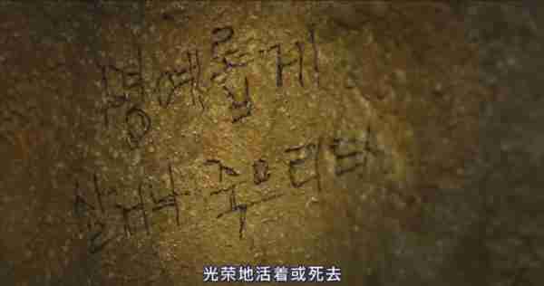 豆瓣9分，请内娱真人秀按这个标准来-第48张图片-九妖电影