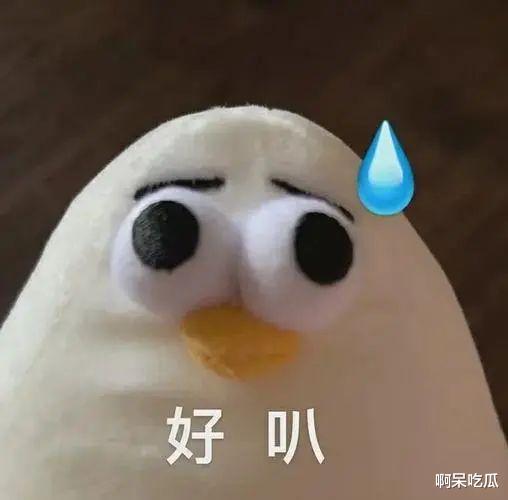 跨年晚会假唱成灾，芒果台造假猖狂，五月天的教训还不够？-第11张图片-九妖电影