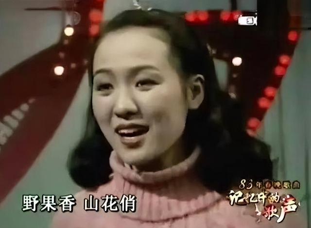 郑绪岚：屡次登上春晚走红，却远嫁美国丢了事业，如今她现况如何-第14张图片-九妖电影