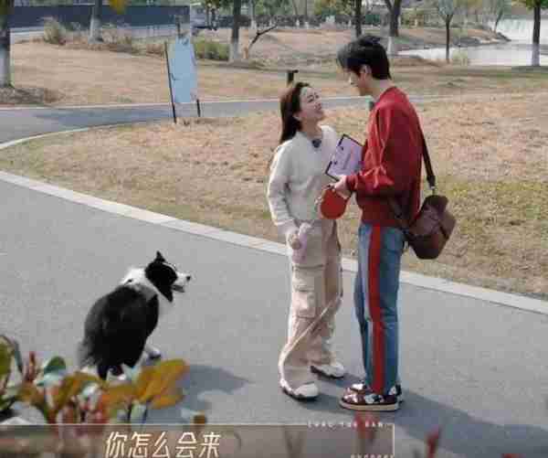 金莎二度携男友上真人秀，宁静羡慕，吴镇宇调侃：他可以养你了-第5张图片-九妖电影