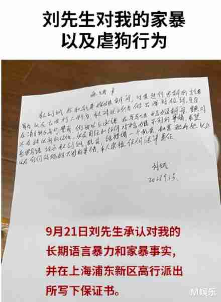 非诚勿扰“宝马女”马诺，半年被家暴7次，否认骗婚骗房-第23张图片-九妖电影