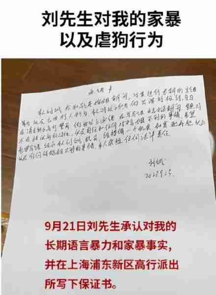非诚勿扰“宝马女”马诺，半年被家暴7次，否认骗婚骗房_1-第24张图片-九妖电影